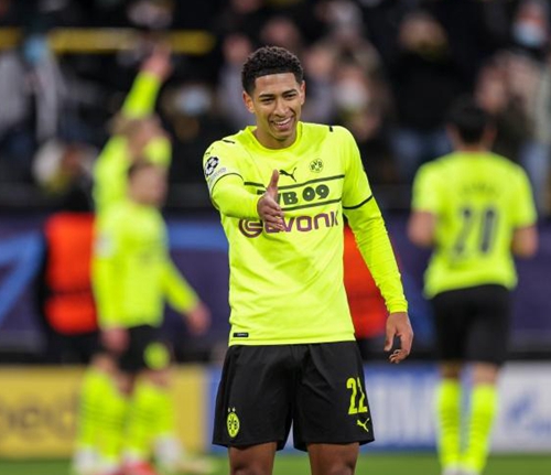 近年来取得 近年来取得