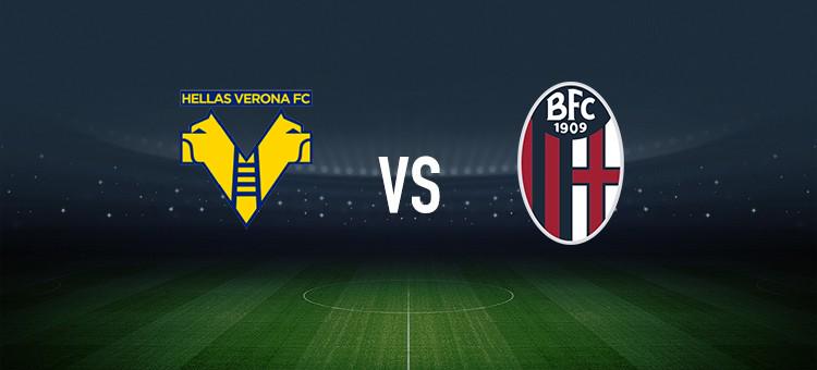 對球迷的影 對球迷的影