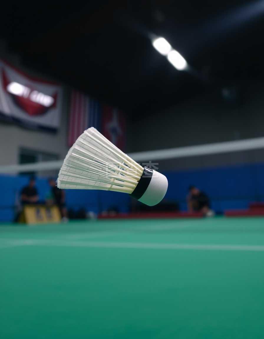 稳步回到联 稳步回到联